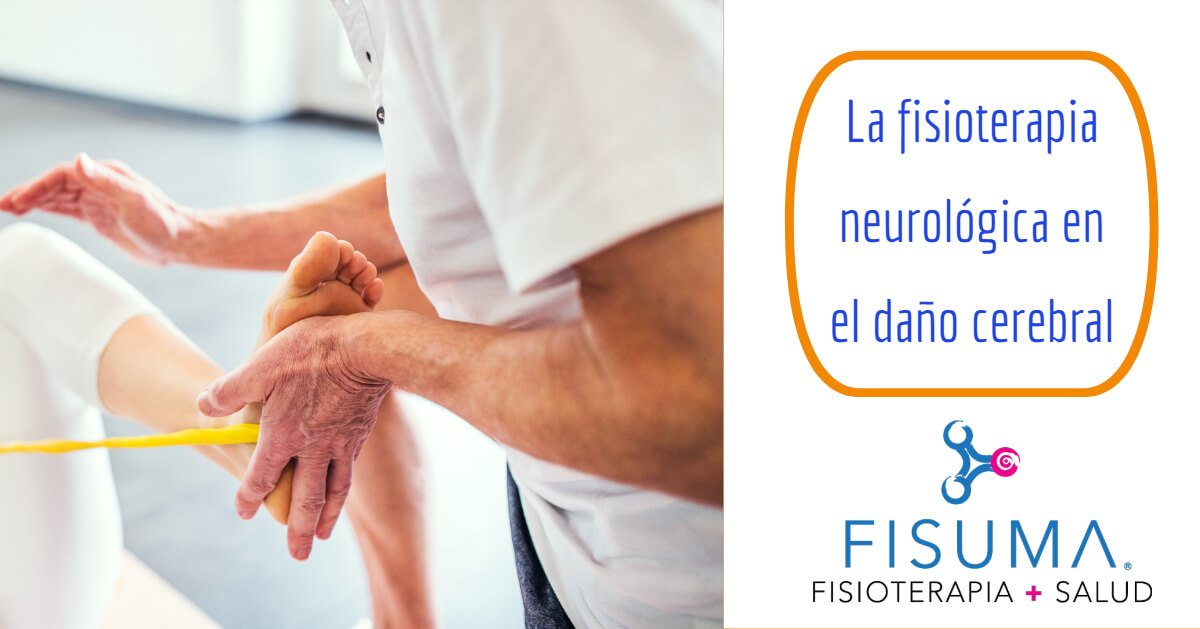 La fisioterapia neurológica en el daño cerebral