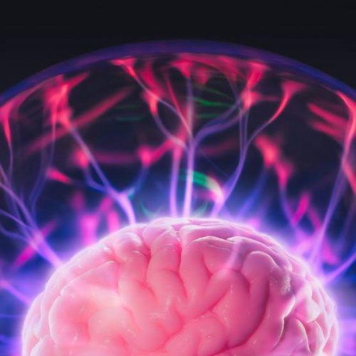 Cerebro en Fisioterapia Neurológica en FISUMA Salud Málaga